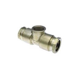 Te huot femelle 4/4 r - sr10r